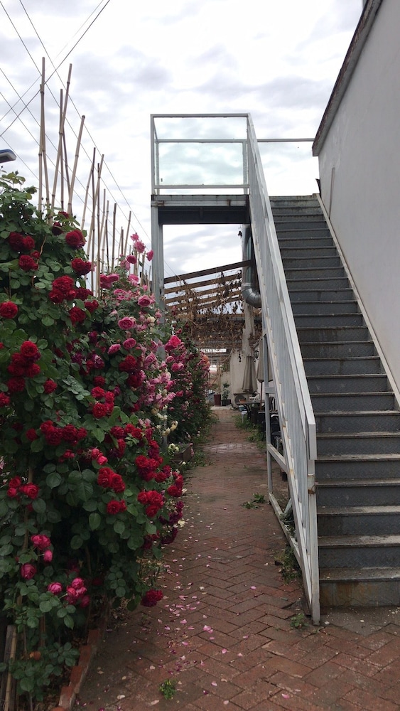 manhongs private courtyard