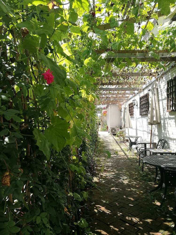 manhongs private courtyard