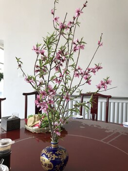 manhongs private courtyard