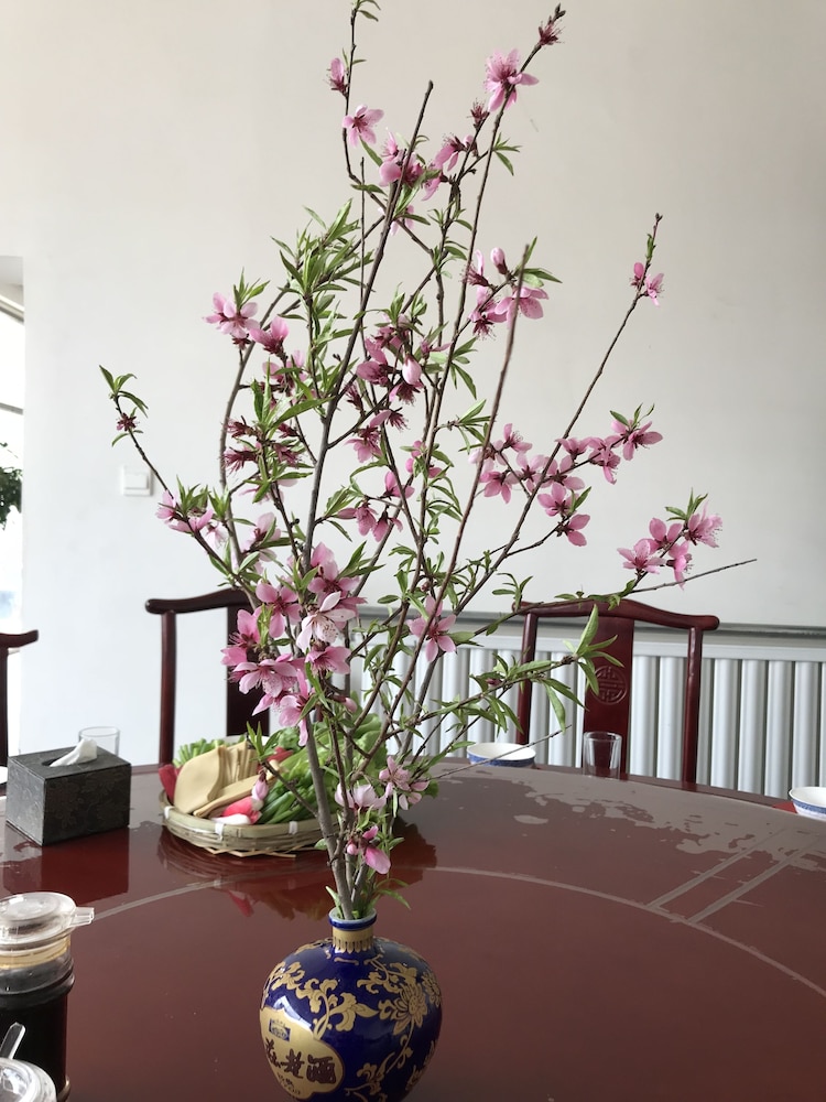 manhongs private courtyard