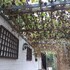 shunyi