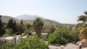 eski datca pansiyon cafe