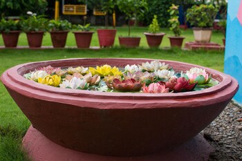 siddharthanagar