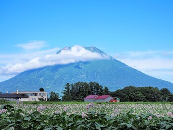 niseko highland cottages