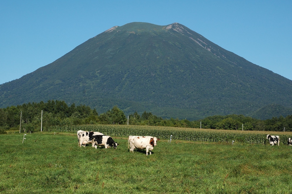 niseko highland cottages