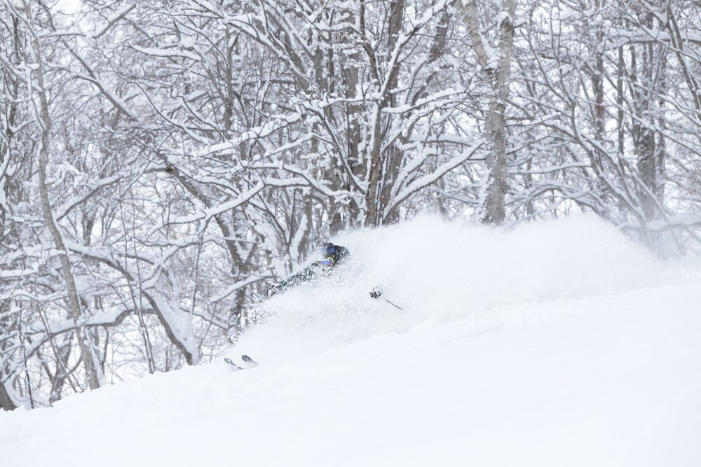 niseko highland cottages
