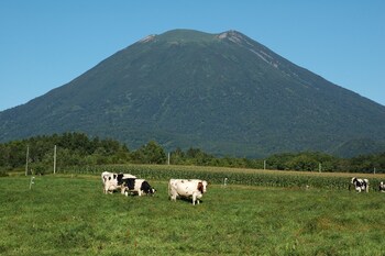 niseko highland cottages
