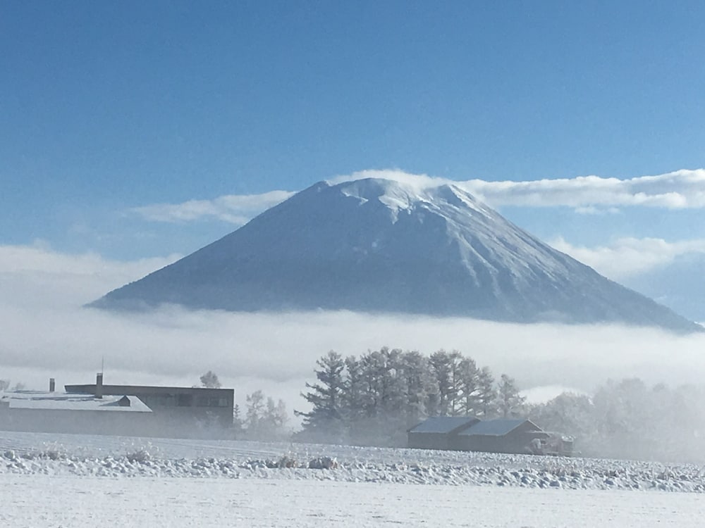 niseko highland cottages