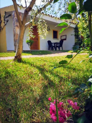 hotel cala mirto