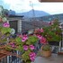 jolly house bolognetta