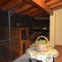 jolly house bolognetta