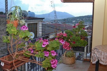 jolly house bolognetta