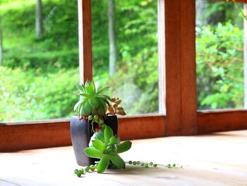 guest house pole pole