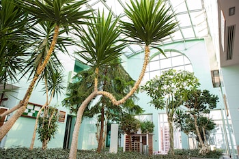 badam dart boutique hotel
