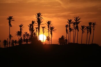 villa sabia eco bungalows
