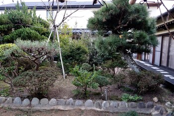 nishio