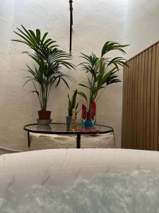 belmonte rooms