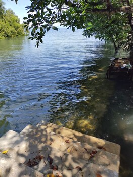 guimaras mangrove guesthouse