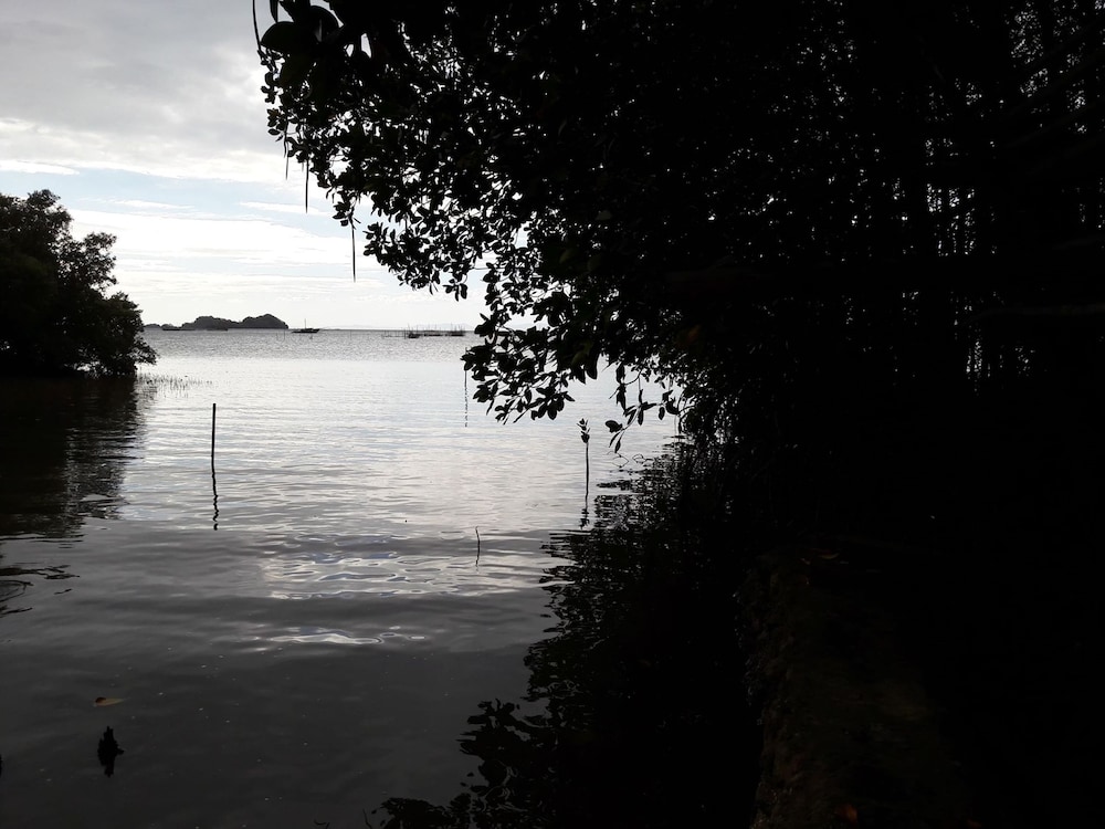 guimaras mangrove guesthouse