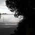 guimaras mangrove guesthouse