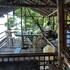 guimaras mangrove guesthouse