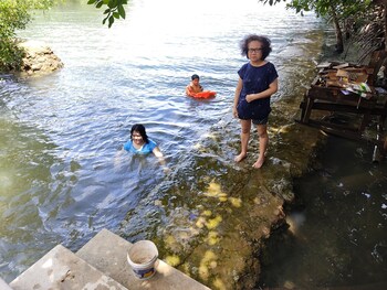 guimaras mangrove guesthouse