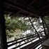 guimaras mangrove guesthouse