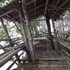 guimaras mangrove guesthouse
