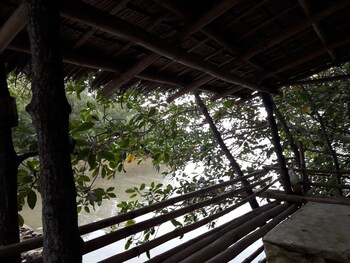 guimaras mangrove guesthouse