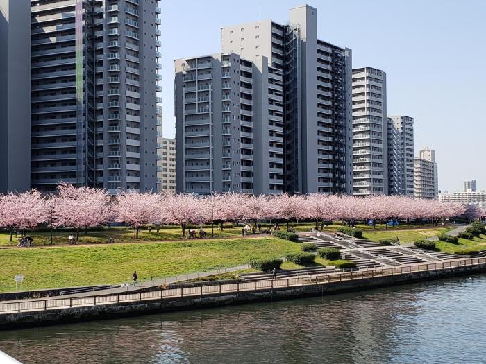 andand hostel minamisenju