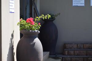 beach retreat guest house