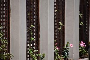 beach retreat guest house