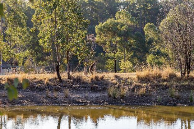 brokenback views country estate