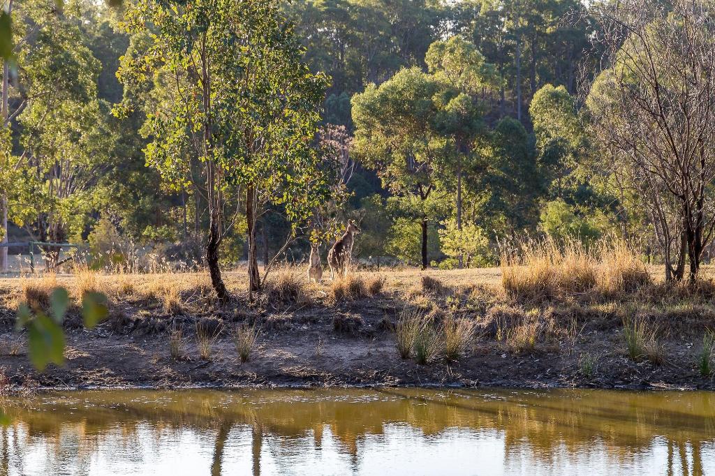brokenback views country estate