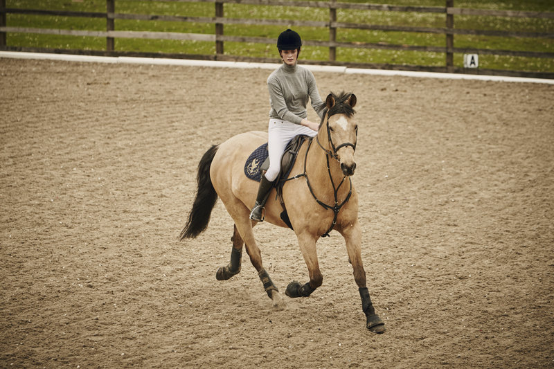 the gleneagles hotel