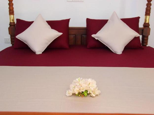 sooriya sewana guest house