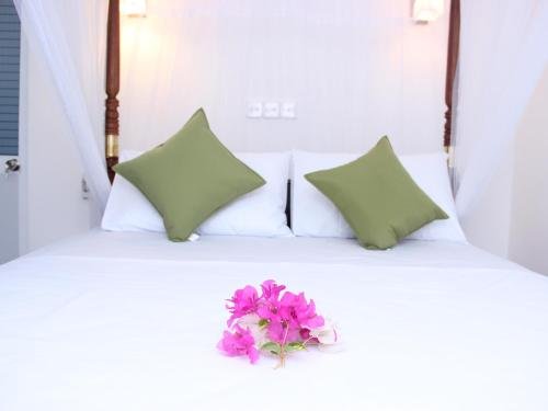 sooriya sewana guest house