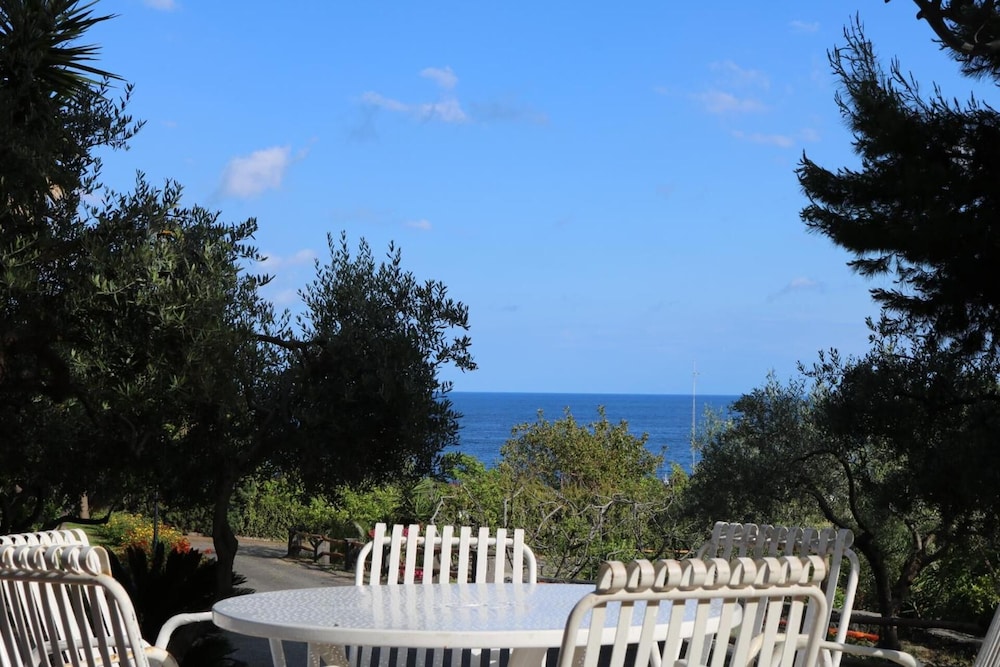 villa delle palme