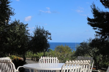 villa delle palme