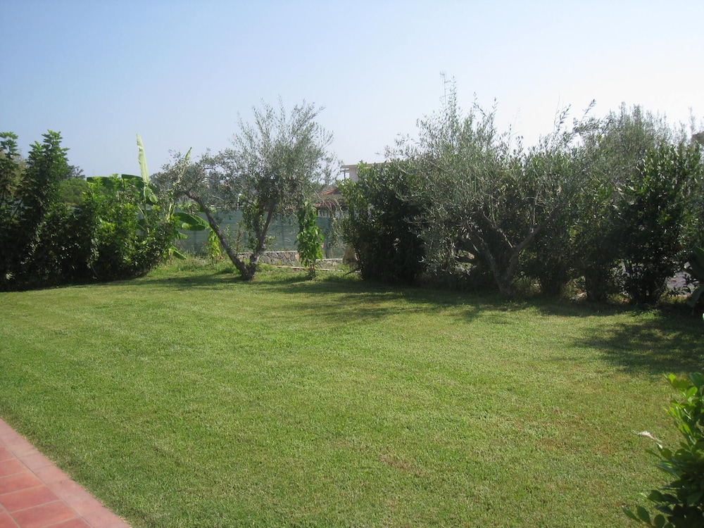 villa delle palme