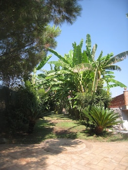 villa delle palme