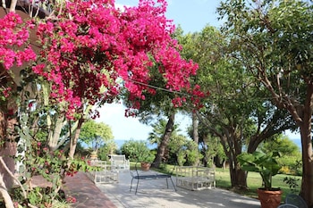 villa delle palme