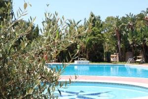 villa delle palme
