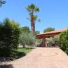 villa delle palme