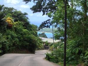 Papaya Guesthouse,Cascade>>Barbarons Beach,3 star