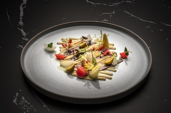 melia frankfurt city