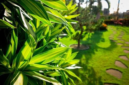 jia feng homestay