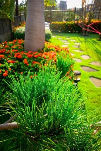 jia feng homestay