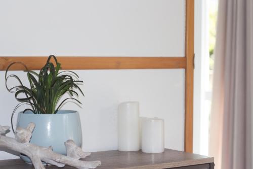 aston norwood chalets