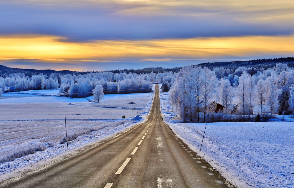 the green house guesthouse sunnemo